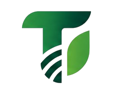 Terranova